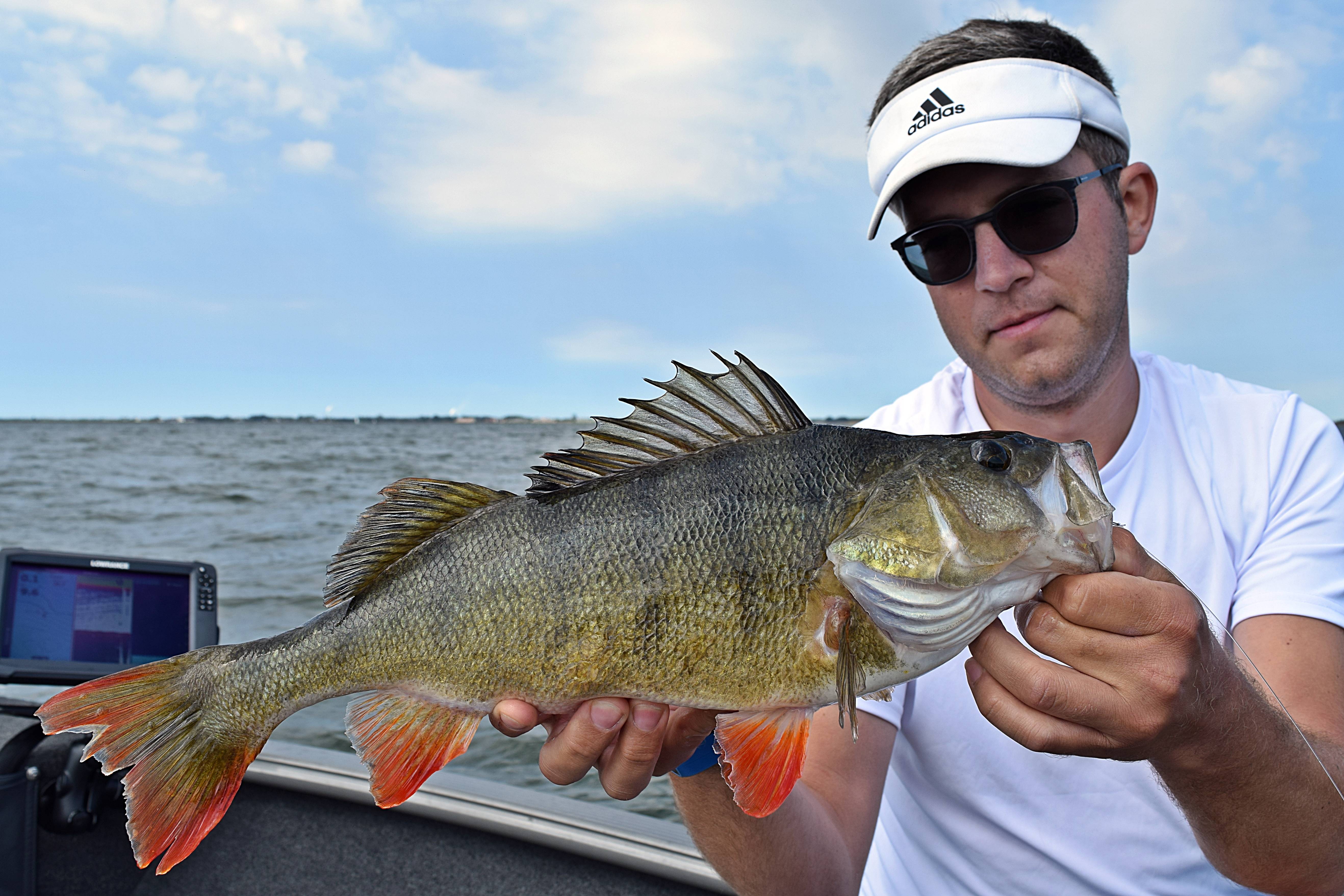 Lowrance_unit-B47.JPG