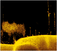 Downscan-v2.jpg